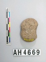 藏品(小砝碼型石網墜)的圖片